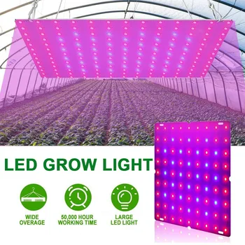 Viso Spektro LED Grow Light 2000W Augalų Svogūnėliai 110V Hydroponic Lempa 1000W 1500W Šiltnamio efektą sukeliančių Fito Lempos Gėlių Augimo Apšvietimas Dėžutės Nuotrauka