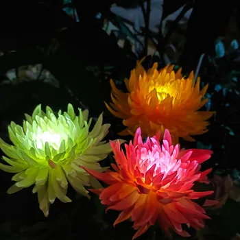 Atsparus vandeniui, Saulės Chrizantemų Šviesos diodų (LED Lauko Kiemas Apdailos Gėlių Žolės Grindų Šviesos diodų (LED) Sodo Kraštovaizdžio Šviesos Nuotrauka