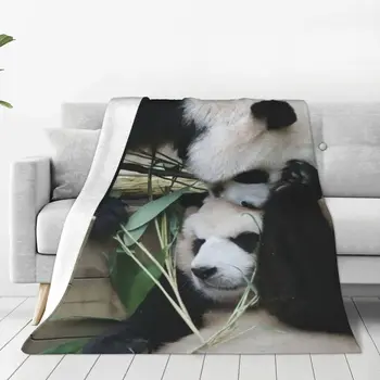 Fubao Aibao Fu Panda Bao Antklodė Super Šiltas Anti-pilling Flanelė Mesti Pledai Lengva Priežiūra Mašina, Namų Dekoro Nuotrauka