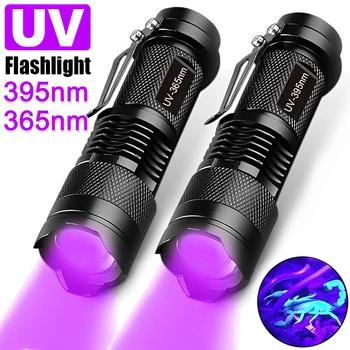 Mini UV Žibintuvėlis LED Ultravioletinė Nešiojamas Žibintuvėlis Zoomable 395nm Juodos Šviesos Tikrinimo Lempą Augintinio Šlapimo Dėmių Detektorius Įrankiai Nuotrauka