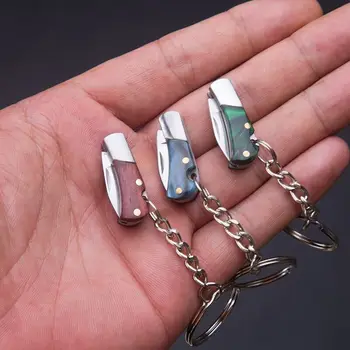 Swayboo Nešiojamų Maži Ašmenys Nešiojamų Keychain Sulankstomas peiliukas Mini EDC 5CR13 Plieno Unboxing Peilis Pakabukas Dovana Nuotrauka